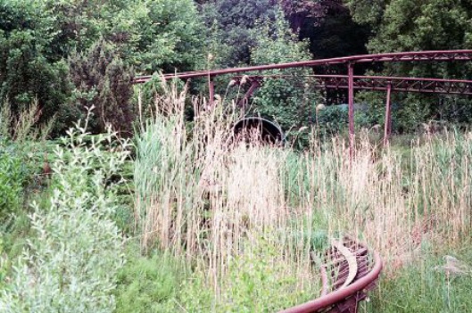 02_Planterwald.jpg