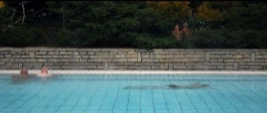Source:fiminhungary.com