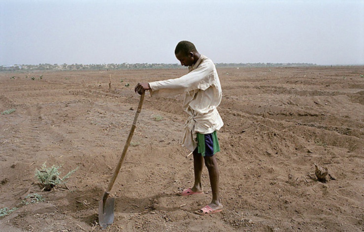 (Image: Cédric Faimali/ Argos Collective)