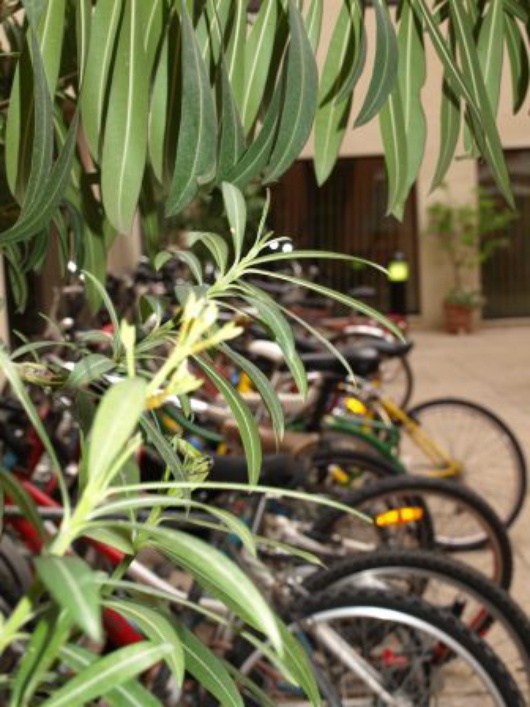 Bicis_en_descanso