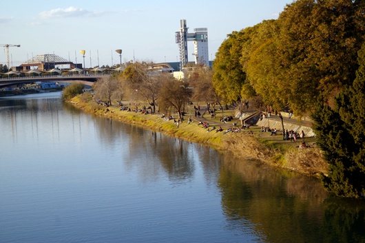 IMGP0302a.jpg