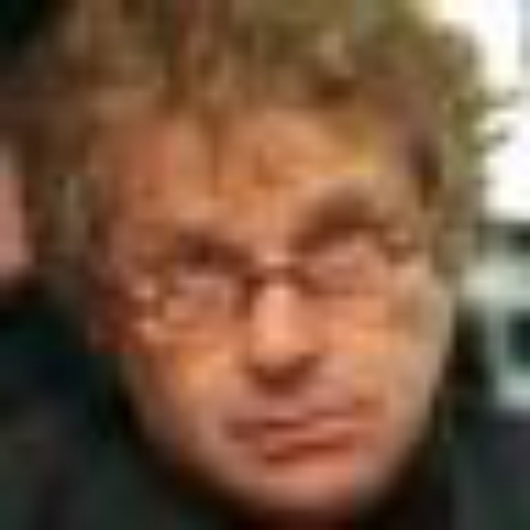 daniel-cohn-bendit.1206206528.jpg