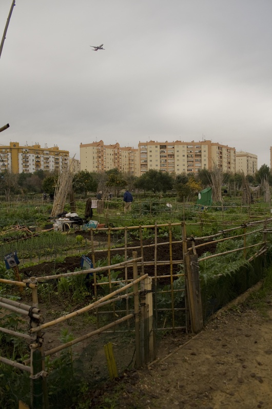 Le parc de Miraflores a vu le jour en 1989