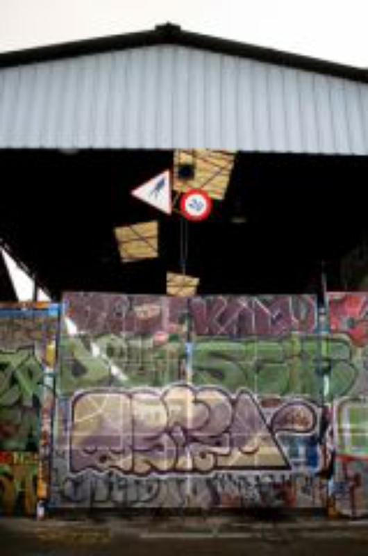 RVI_Entree(2)