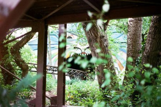 04_Planterwald.jpg
