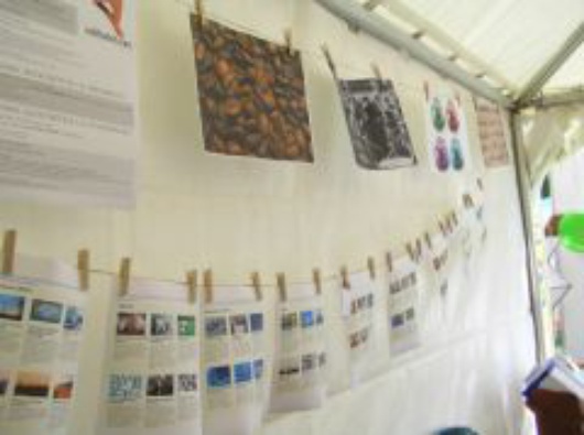 sziget_3