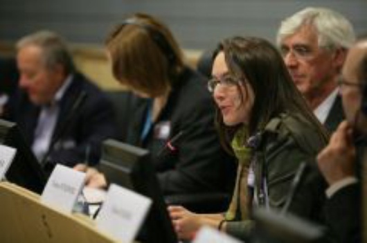 Van__at_ECOSOC.jpg