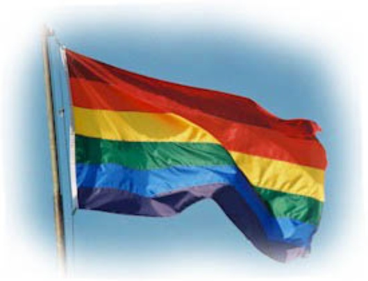Gay flag