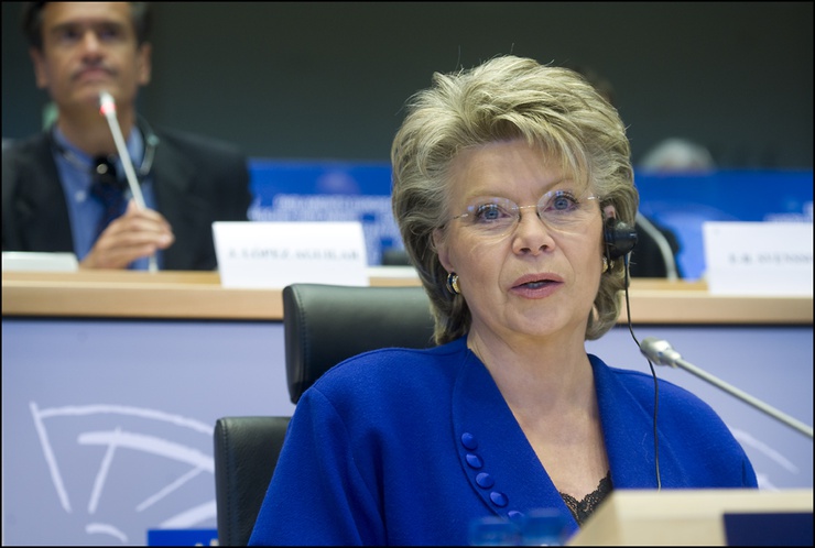 Le remake d' "Erin Brockovich, seule contre tous" ?