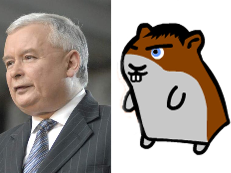Vous voyez la ressemblance ?
