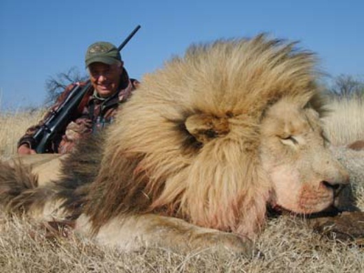 lion_Africa