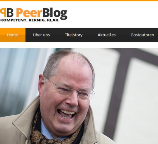 Zunächst hagelte es Kritik in puncto Nebeneinkommen (sogar von Transparency International), später wurde auch das peerblog aufgrund von undurchsichtigen Geldgebern nach wenigen Tagen wieder offline gestellt