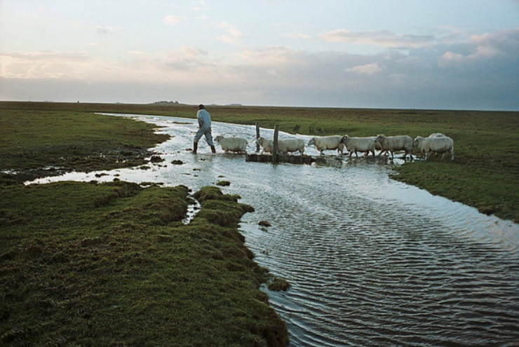 (Image: Hélène DAVID/ Argos Collective)