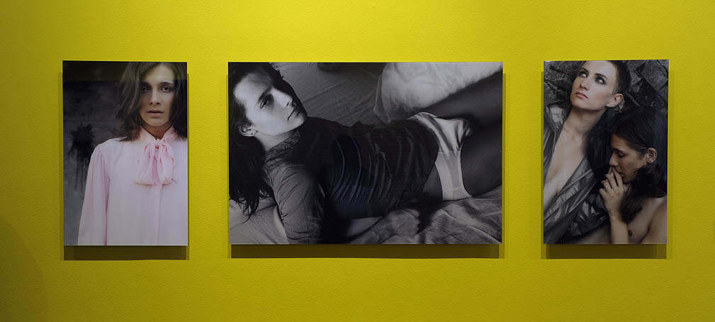 Le Triptyque d'Anastasia Mikhno 