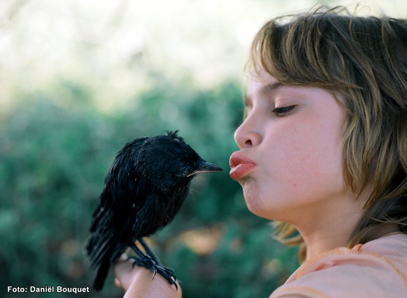 Hollande