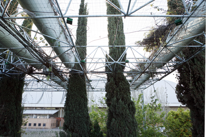 Jardines comunes absolutamente descuidados 