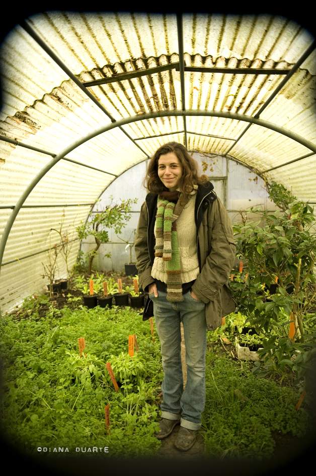 Look vert