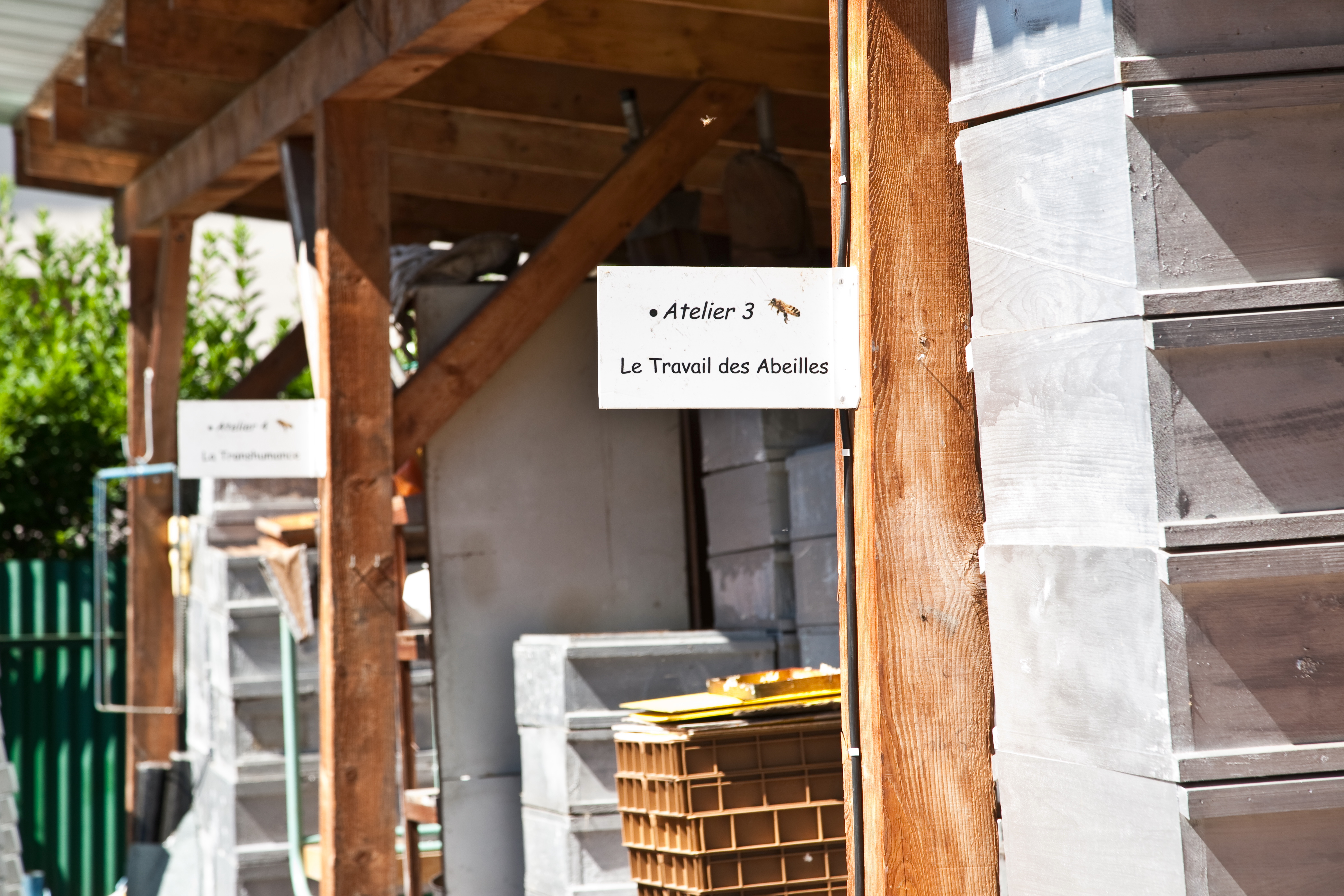 Las abejas influyen en la economía