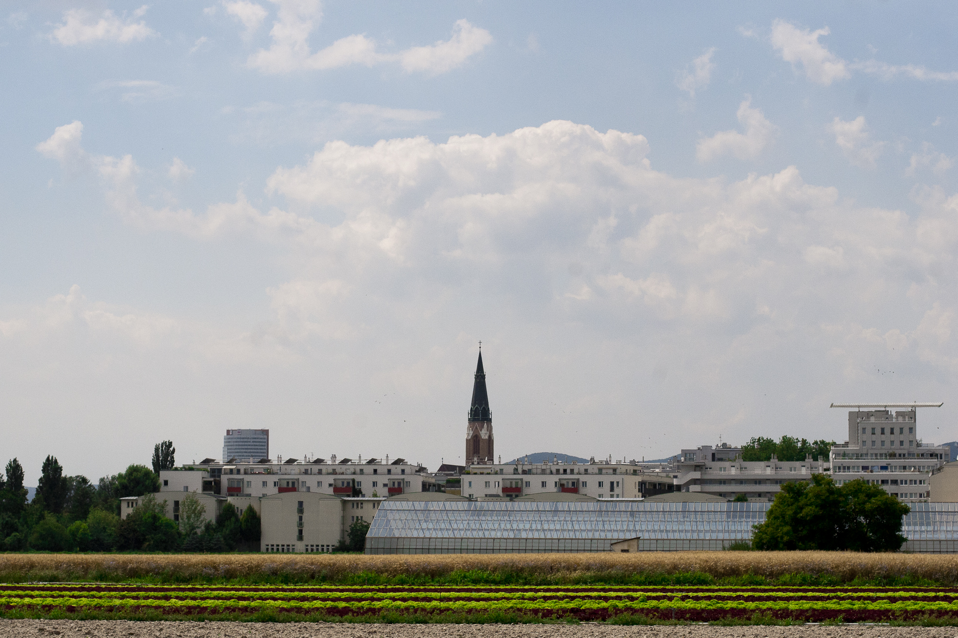 L’arrivo in città