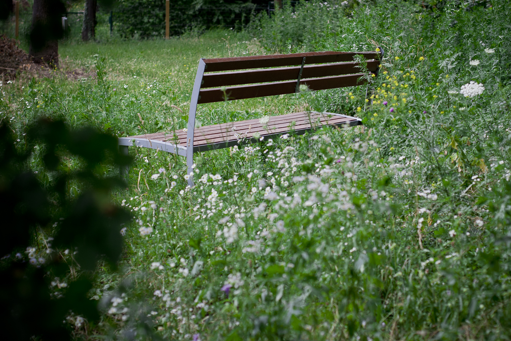 La natura si sbaciucchia su una panchina