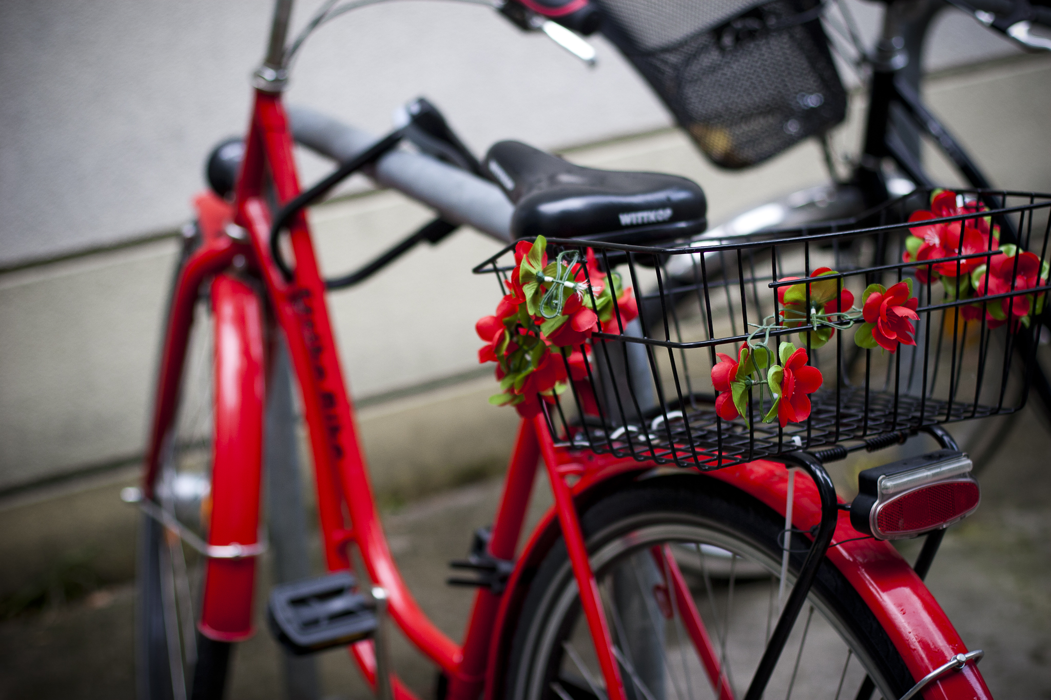 Quando le bici fioriscono