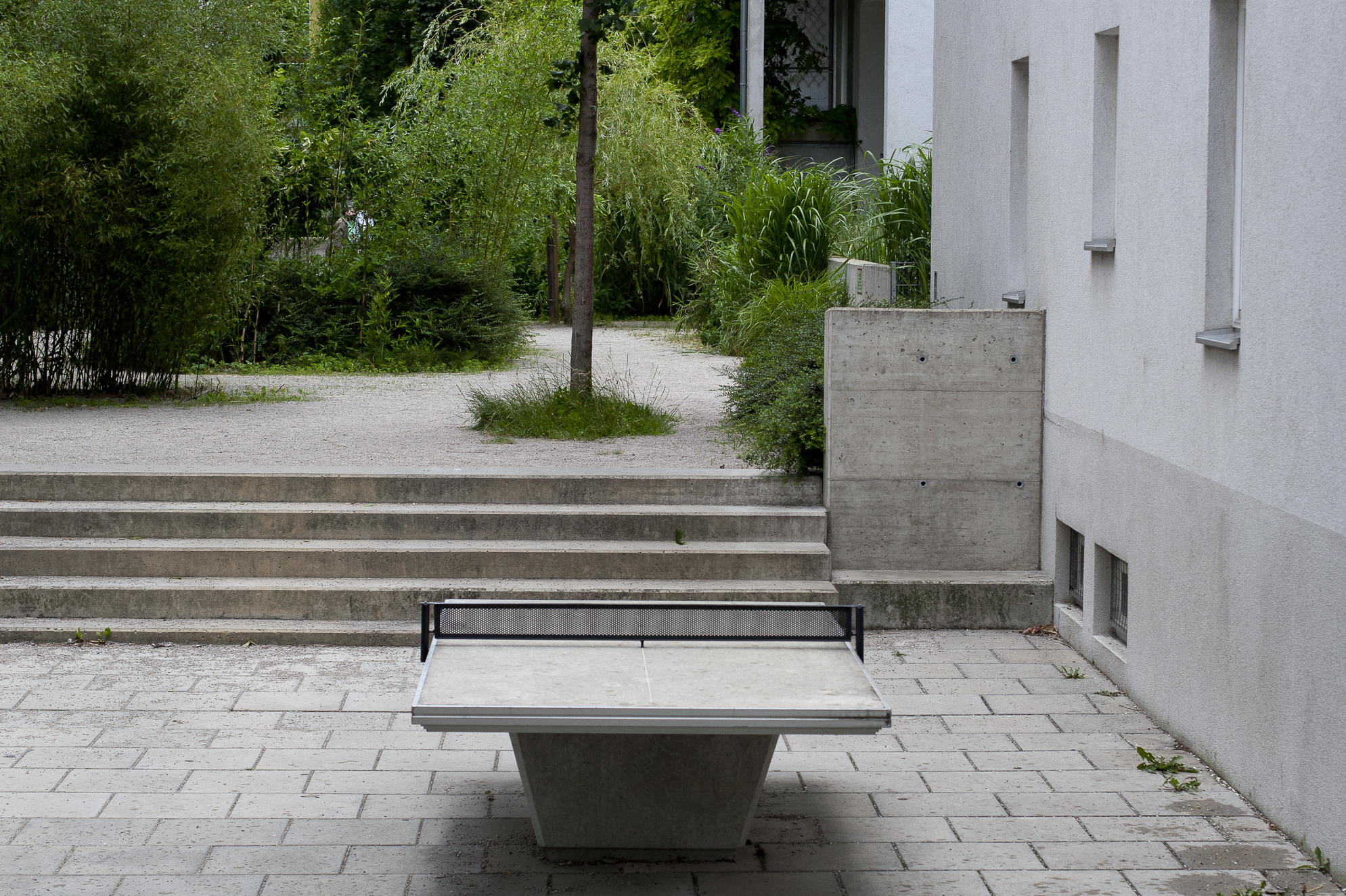 Ping-pong tra piante e cemento