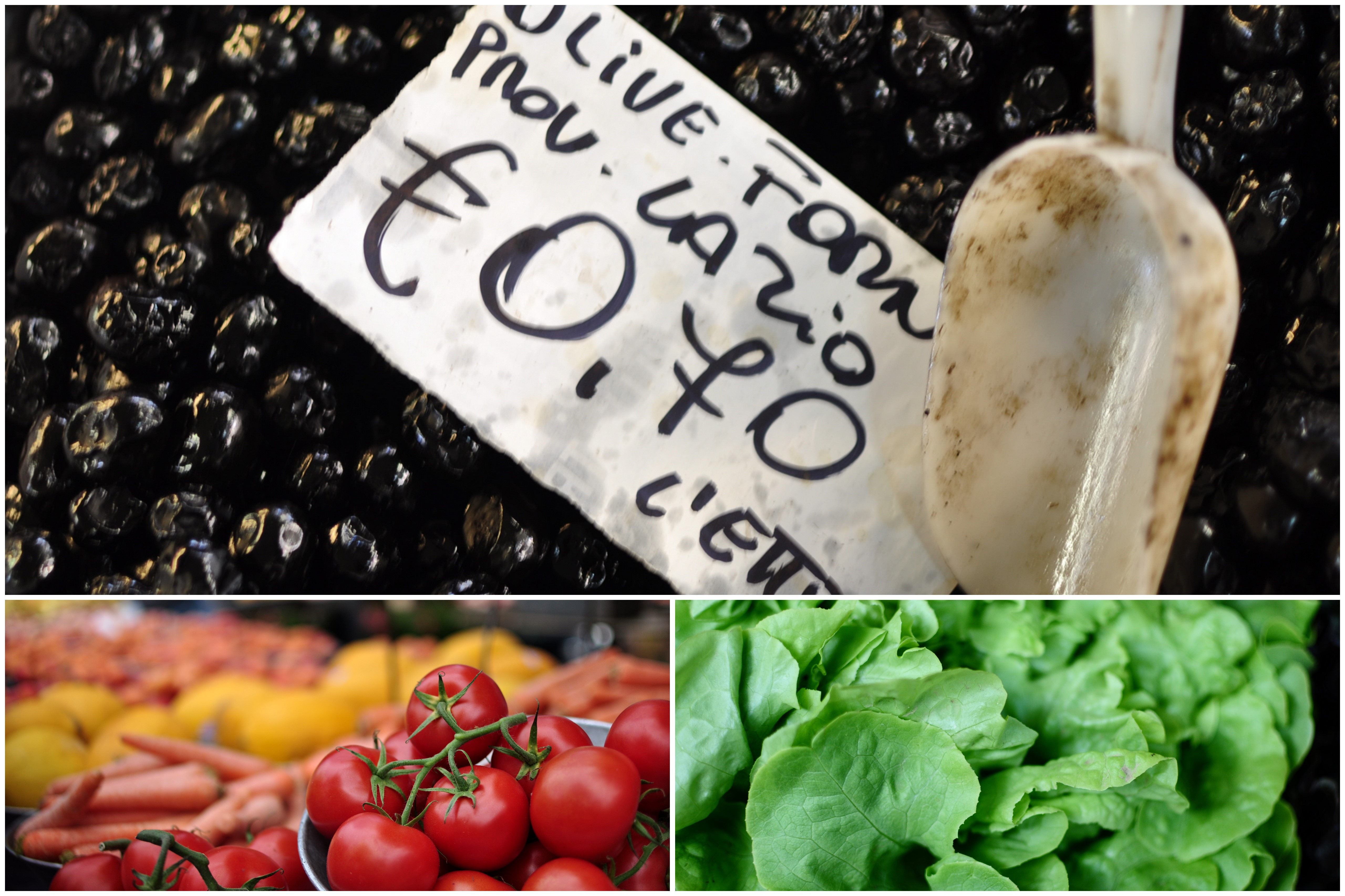 Terroni vs polentoni