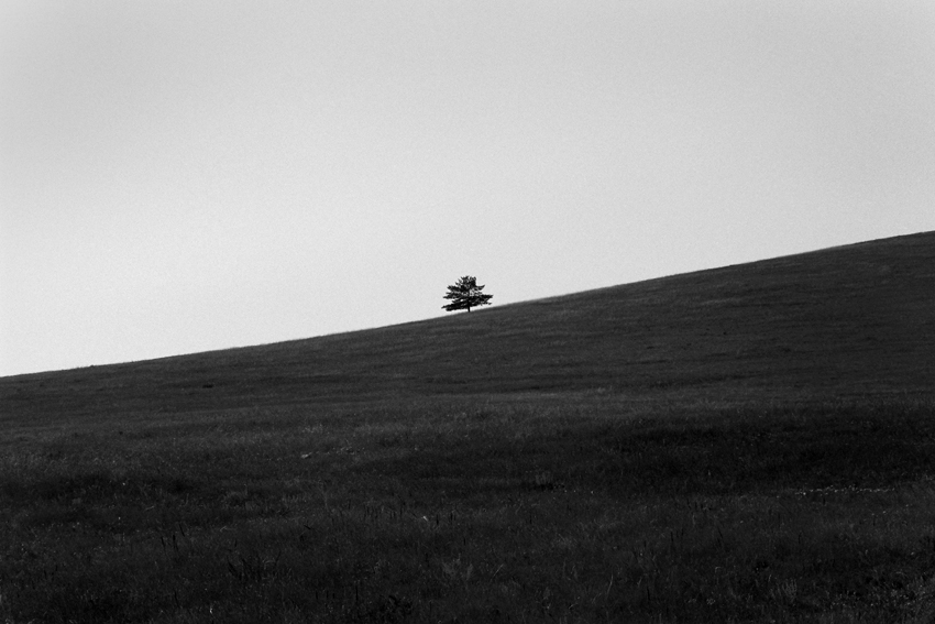 Steppe