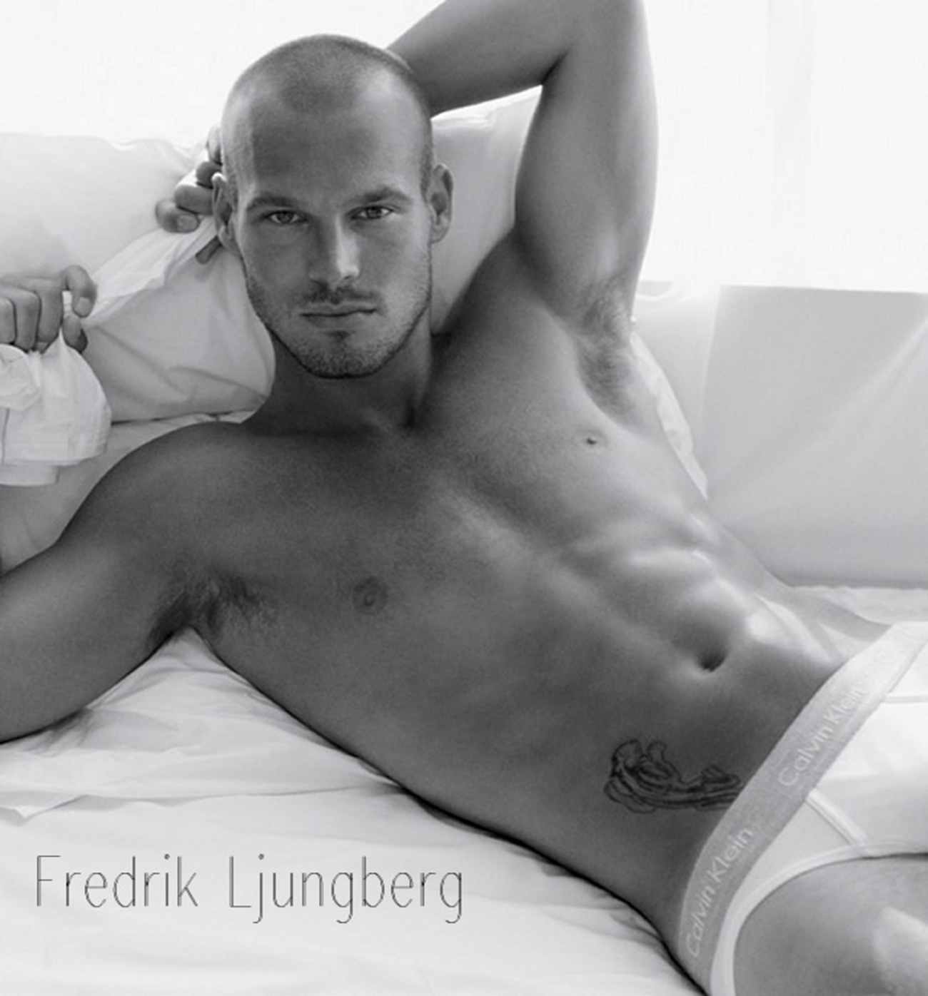 Suède : Fredrik Ljungberg