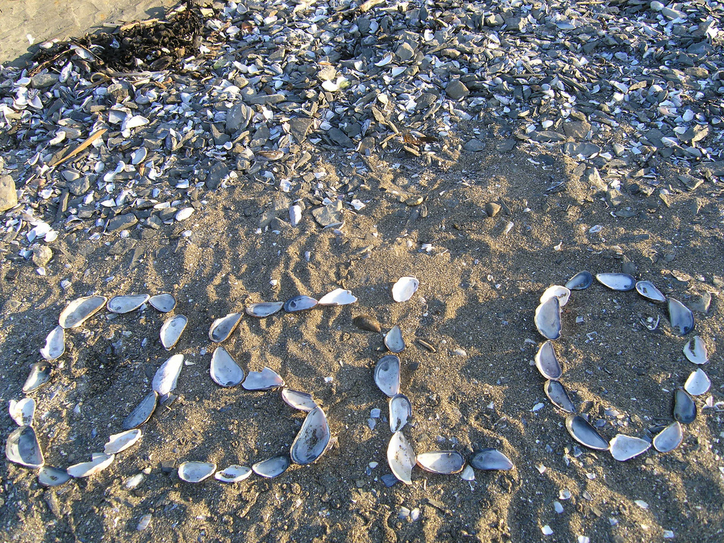 Bygdøy, tumbados al sol