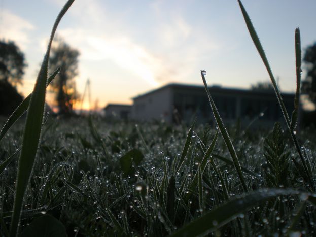 Image for Sunrise in Pärnu-Jaagupi