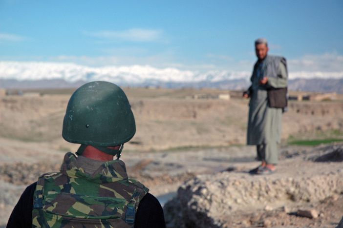 Image for Dutch government fails over Afghanistan
