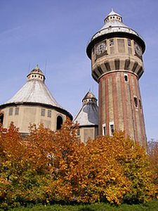 Image for Auf Benzol gebaut
