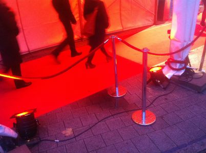Image for Eröffnung Filmfest Hamburg 2012: Wet Red Carpet