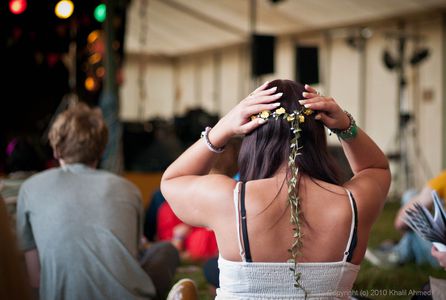 Image for From Behind the Velvet Curtain: Notes from a Literary Festival