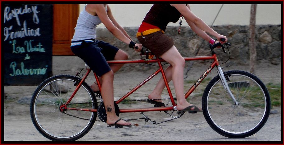 Image for Cinco bicis y una vuelta al mundo a pedales