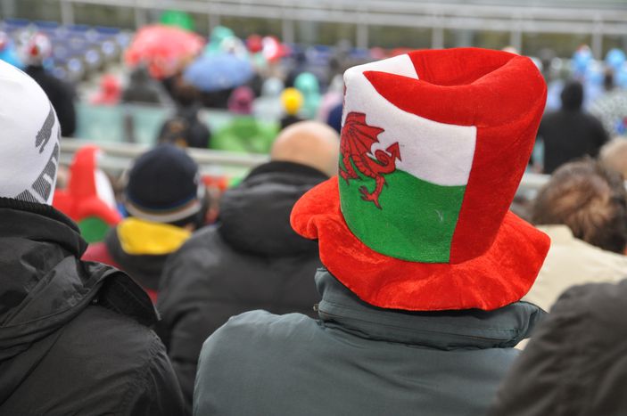 Image for Euro 2016: Wales, hear the dragon roar