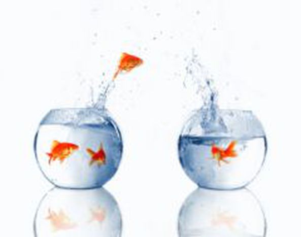 Image for The recession changes the trends in the drift of labour?