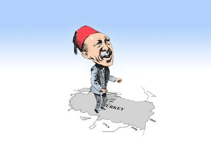 Image for La Turchia di Erdoğan: un percorso infranto