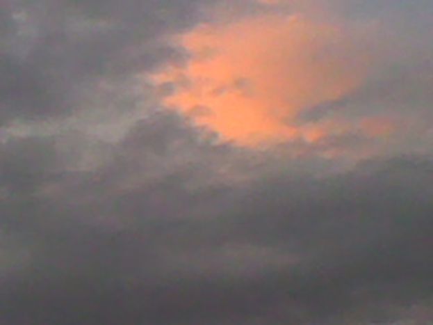 Image for La bellezza dell'inutilità