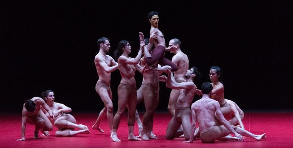 Image for UMANO - "Le Sacre" secondo Virgilio Sieni
