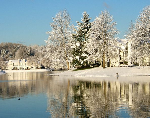Image for 5 tips for surviving the winter