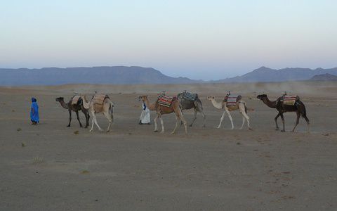 Image for IL CALENDARIO POETICO DELL'AVVENTO 9: CAMEL LIBRARY SERVICE