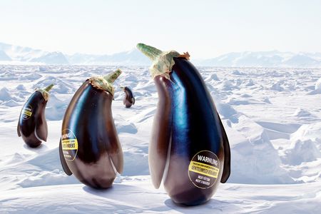 Image for La Guerra del hielo.