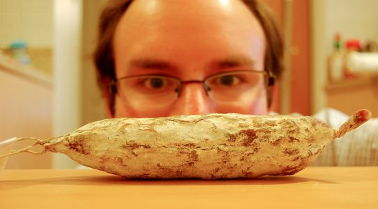Image for Saucisson cherche jeune fille