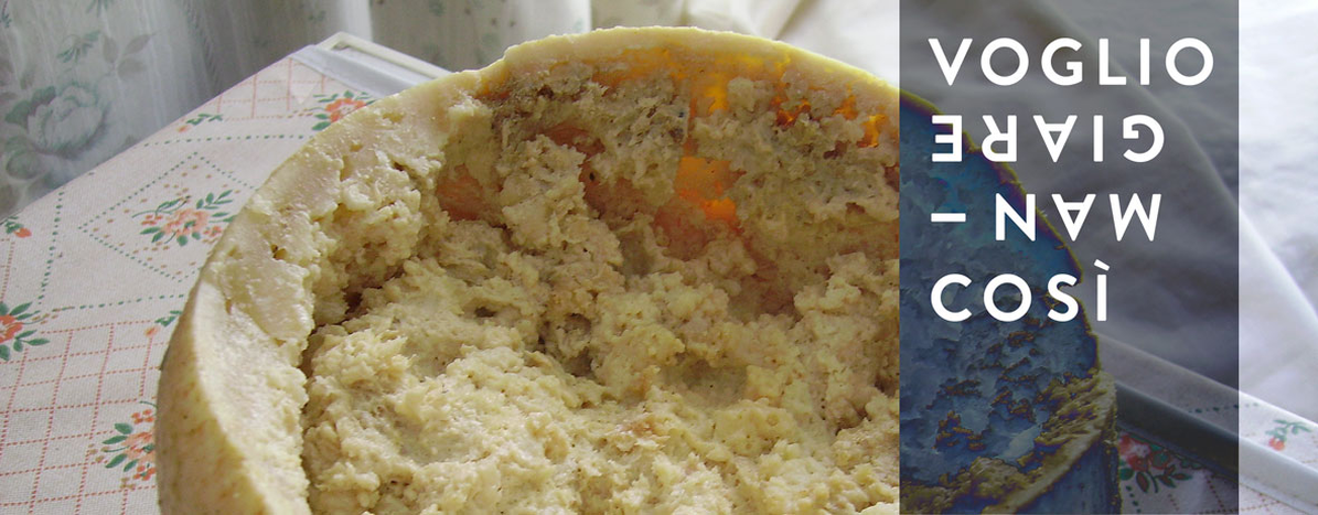 Image for Casu Marzu, historia de un queso prohibido