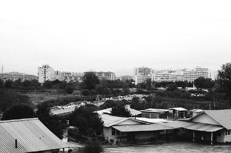 Image for Chi ha paura degli zingari?