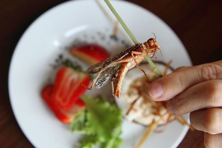 Image for Insekty na talerzu w warszawskiej knajpie