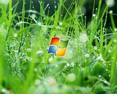 Image for Microsoft - koniec procesu i apelacji
