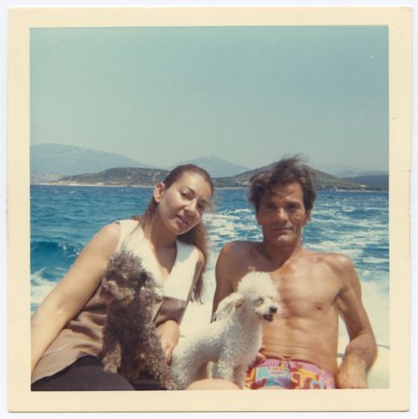 Image for Pasolini, pensatore europeo
